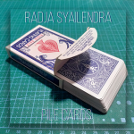 Pile Cards by Radja Syailendra video DOWNLOAD