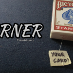 Torner by Maulanas video DOWNLOAD