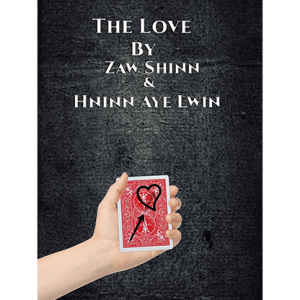 The Love By Zaw Shinn &Hninn Aye Lwinvideo DOWNLOAD
