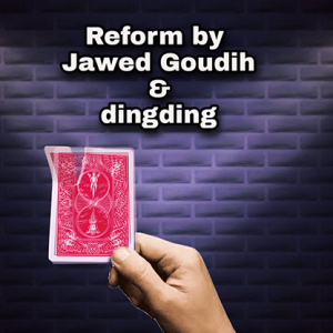 Reform by Jawed Goudih & Dingding video DOWNLOAD