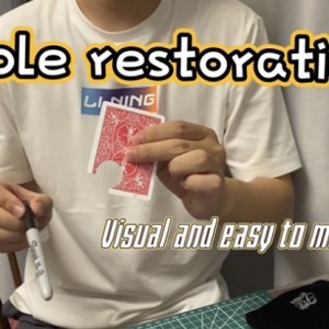 Hole Restoration by Dingding video DOWNLOAD