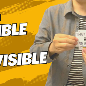 The Vault – Visible or Invisible by Dingding video DOWNLOAD