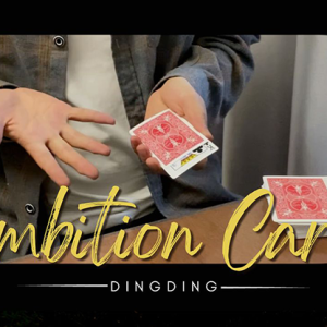 The Vault – Ambition Card by Dingding video DOWNLOAD