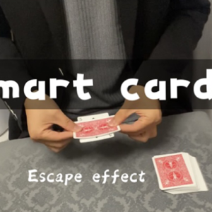 Smart Card by Dingding video DOWNLOAD