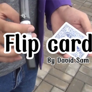 Flip Card by David Sam video DOWNLOAD