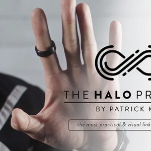The Halo Project (Silver Edition) Size 8 (Gimmicks and Online Instructions) by Patrick Kun – Trick