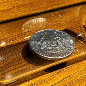 REAL COIN IN BOTTLE (HALF) by Bacon Magic – Trick