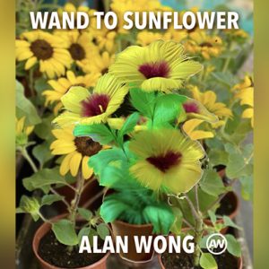 WAND TO SUNFLOWER LARGE by Alan Wong  – Trick