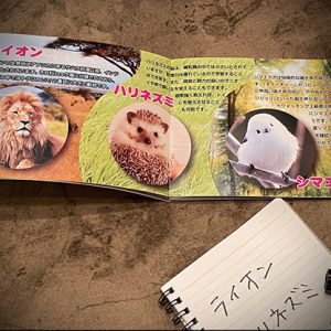 Mentalist’s Animal Photo book 2024 by Tenyo Magic – Trick