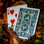 Bonfires Green (includes Card Magic Course) by Adam Wilber and Vulpine
