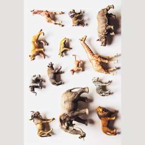 Noah’s Ark Prop-less Animal Guess by Fraser Parker – Book