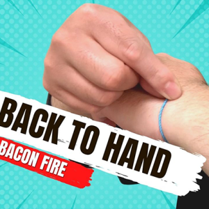 The Vault – Back to Hand by Bacon Fire video DOWNLOAD