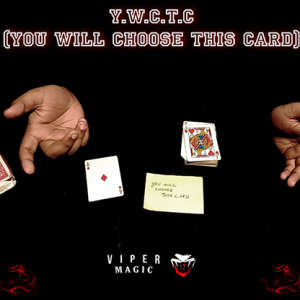 Y.W.C.T.C by Viper Magic video DOWNLOAD