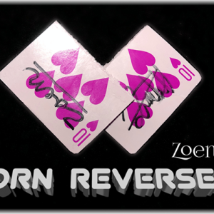 Torn Reversed by Zoen’s video DOWNLOAD