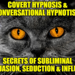 INTERPERSONAL NEURAL SYNCHRONY Online Course by Dr. Jonathan Royle & Mr. Paul Gutteridge Mixed Media DOWNLOAD