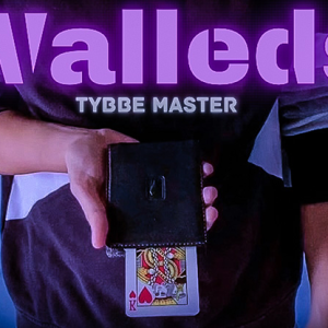 Walleds by Tybbe Master video DOWNLOAD