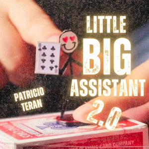 The Vault – Little Big Assistant 2 by Patricio Teran video DOWNLOAD