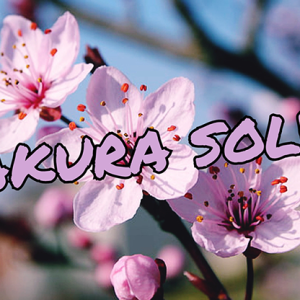 SAKURA SOLVE by Cyril Hubert and JJ Team video DOWNLOAD