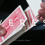 EVEREST by Patrick Teran -DOWNLOAD