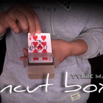 UNCUT BOX by Tybbe Master -DOWNLOAD