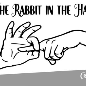 The Rabbit In the Hat by Creativity Lab