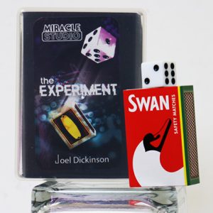 THE EXPERIMENT by Joel Dickinson