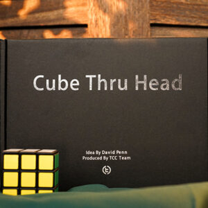 The Cube Through Head by David Penn and TCC