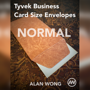 Tyvek Business Card Size Envelopes (10 pk.) by Alan Wong