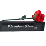 Rainbow Rose by JL Magic