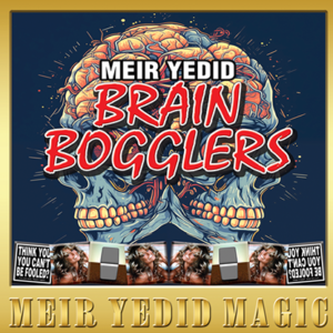 Brain Bogglers by Meir Yedid