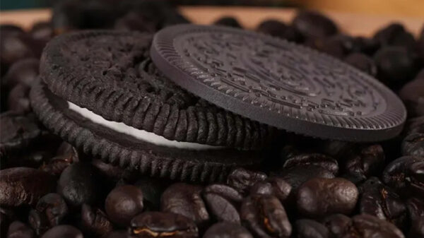 Oreo Shell Set by N2G - Imagen 3