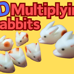 3D Multiplying Rabbits (7 Pc Mom and Pop with 5 babies) Set