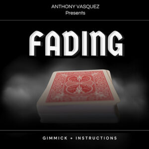 Fading (Red) by Anthony Vasquez