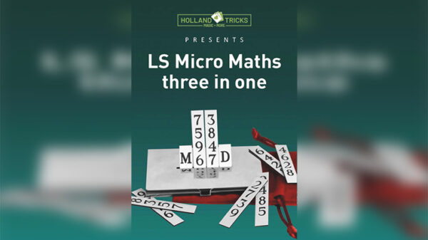 Micro Maths by Leo Smetsers