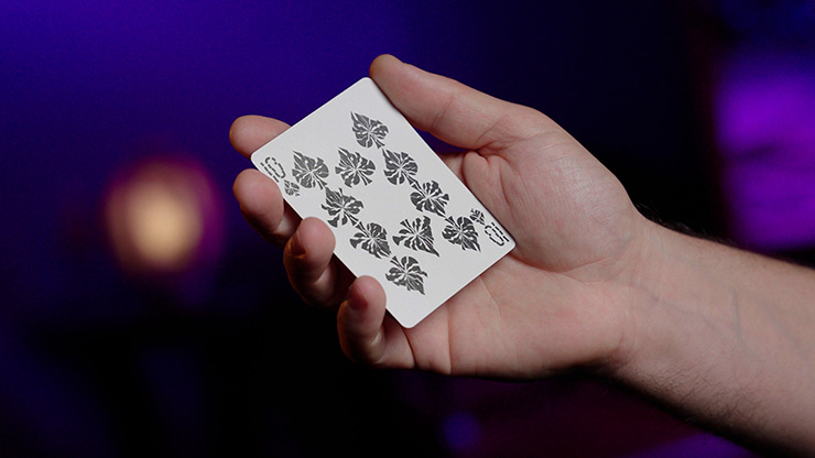 SHATTERED by DARYL - Imagen 2