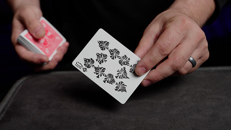 SHATTERED by DARYL - Imagen 3