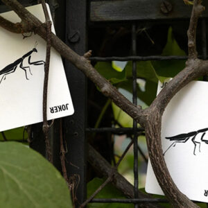 Mantis Playing Cards (Marked)