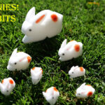 The Bunnies! 3D Rabbits (Parents, Kids & Grandpa)