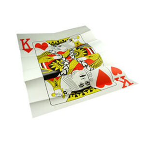 The Magicians Insurance Policy