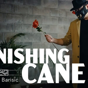 Vanishing Cane (Stage) by Bojan Barisic and Stage Elegance