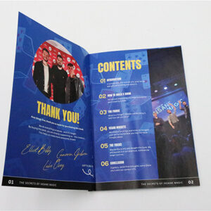 The Secrets of Insane Magic by Elliot Bibby, Luke Osey, and Cameron Gibson