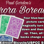 Aurora Borealis by Paul Gordon