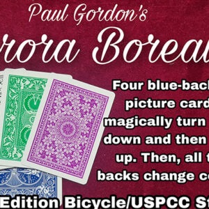 Aurora Borealis by Paul Gordon