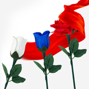 Reborn Rose by JL Magic