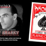 Get Sharky Large Index (Red) by Christoph Borer