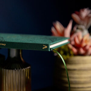 The Hummingbirds by Luke Jermay