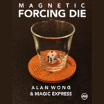 Magnetic Forcing Die by Alan Wong & Magic Express (Full set with six dice)
