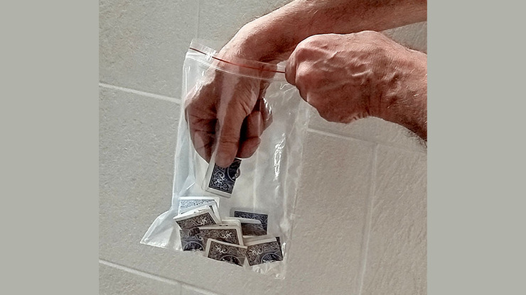 Triple Force Zip Lock Bag (Small, 6.5 x 9.5") - Imagen 2