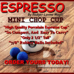 Mini Chop Cup by Rodger Lovins Magic