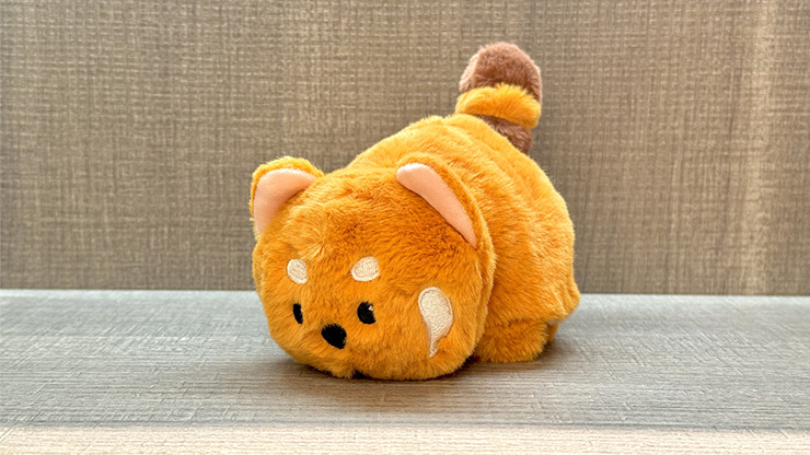 Morphing Plush (Panda to Raccoon) by Jackie Zhao and JT Magic - Imagen 3